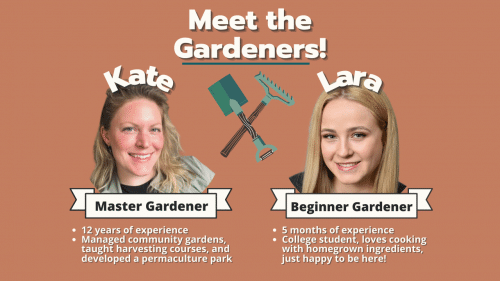 Beginner to Master Gardener