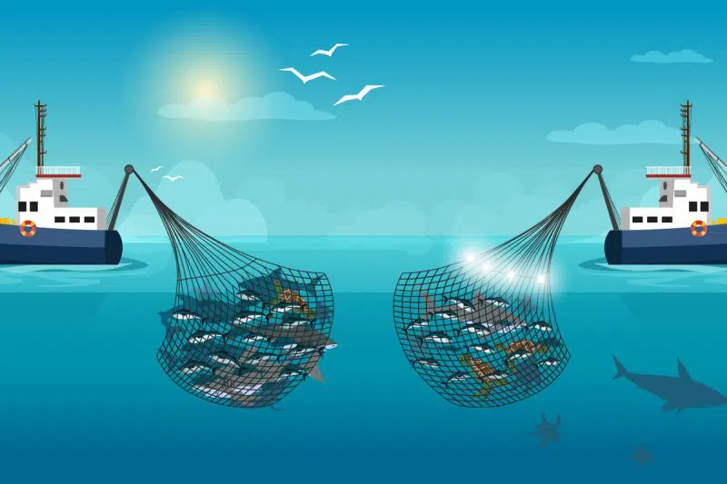 bycatch-sustainable-fishing