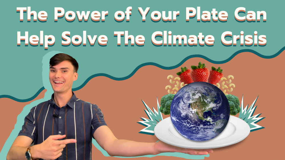 The Power Of Your Plate: Can A Plant-Based Diet Solve The Climate ...