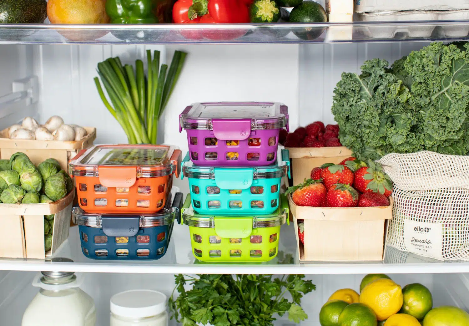 fridge-reducing-food waste