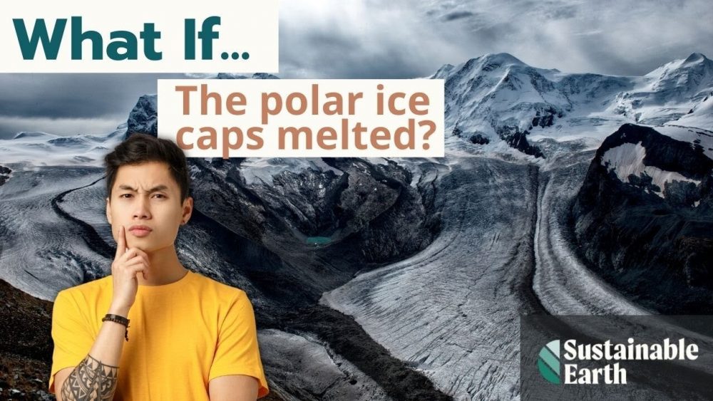 what if the polar ice caps melted