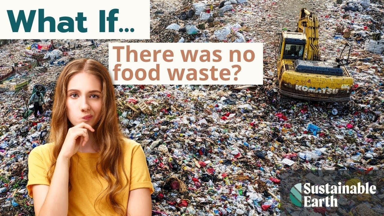 no-food-waste